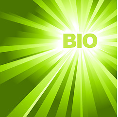Image showing BIO / ECO / organic poster