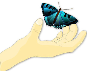 Image showing butterfly in the palm