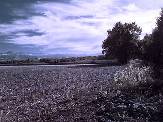 Image showing Countyside infrared landscape