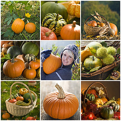 Image showing Pumpkin collage