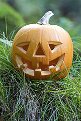 Image showing Halloween