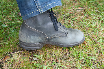 Image showing Shoe on green herb