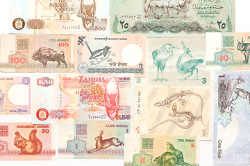 Image showing Background from bills of the money