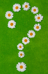 Image showing Daisywheels on question mark