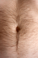 Image showing Male hairs belly, bellybutton