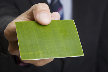 Image showing Green Business Card