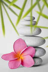 Image showing Stone Stack and Frangipani Flower