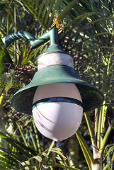 Image showing Small Lamp in the Park, Brisbane, Australia