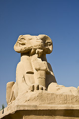 Image showing Karnak temple