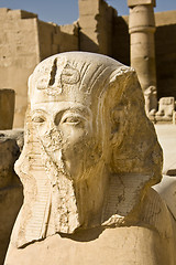 Image showing Karnak temple