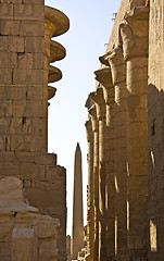 Image showing Karnak temple