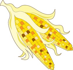 Image showing Indian Corn