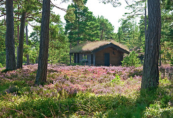 Image showing Wooden cabin on a wildflower meadow