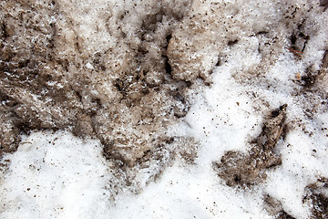 Image showing Dirty Snow Background