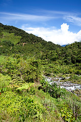 Image showing Tropical Mountain Landscape