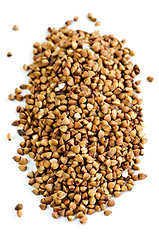 Image showing Buckwheat grain