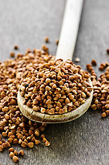 Image showing Buckwheat grain