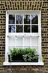 Image showing Window in London