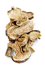 Image showing Dry porcini mushrooms