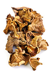 Image showing Dry chanterelle mushrooms