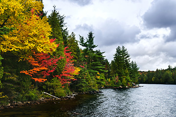 Image showing Fall forest and lake shore