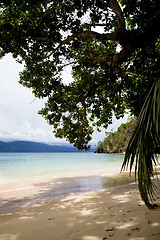 Image showing Beach Paradise