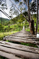 Image showing Hanging Bridge