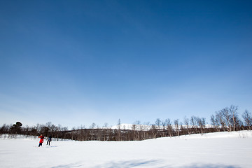 Image showing Winter Landscape with Skiiers