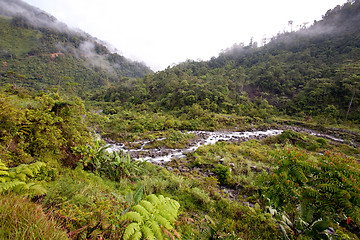 Image showing Mountain Stream with Fog