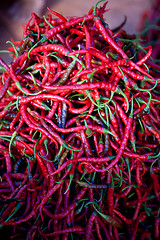 Image showing Chili Pepper Background
