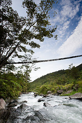 Image showing Hanging Bridge