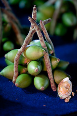 Image showing Areca Nut