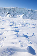 Image showing Polar Bear Trail