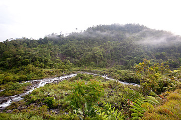 Image showing Mountain Stream with Fog