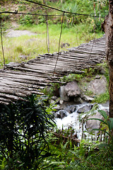 Image showing Hanging Bridge Detail