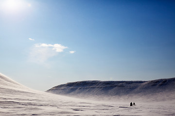 Image showing Barren Winter Landscape