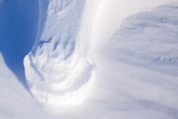 Image showing Polar Bear Foot Print