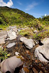 Image showing Mountain Stream