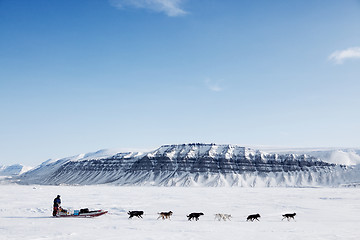 Image showing Dog Sled Expedition