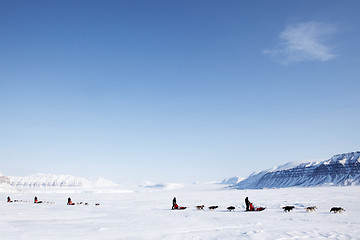 Image showing Dog Sled