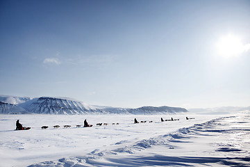 Image showing Dog Sled Expedition