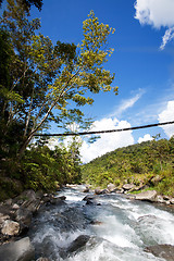 Image showing Mountain Stream