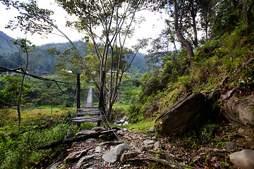 Image showing Hanging Bridge Suspension