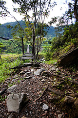 Image showing Suspension Bridge