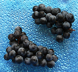 Image showing Blue grape clusters on the glass plate