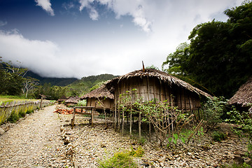 Image showing Village Hut