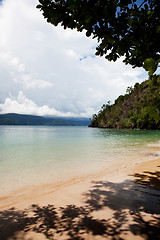 Image showing Tropical Beach