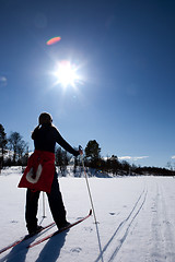 Image showing Cross Country Skiing