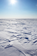 Image showing Barren Winter Landscape