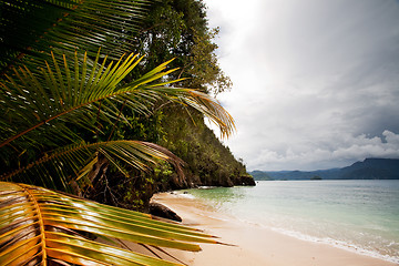 Image showing Tropical Beach